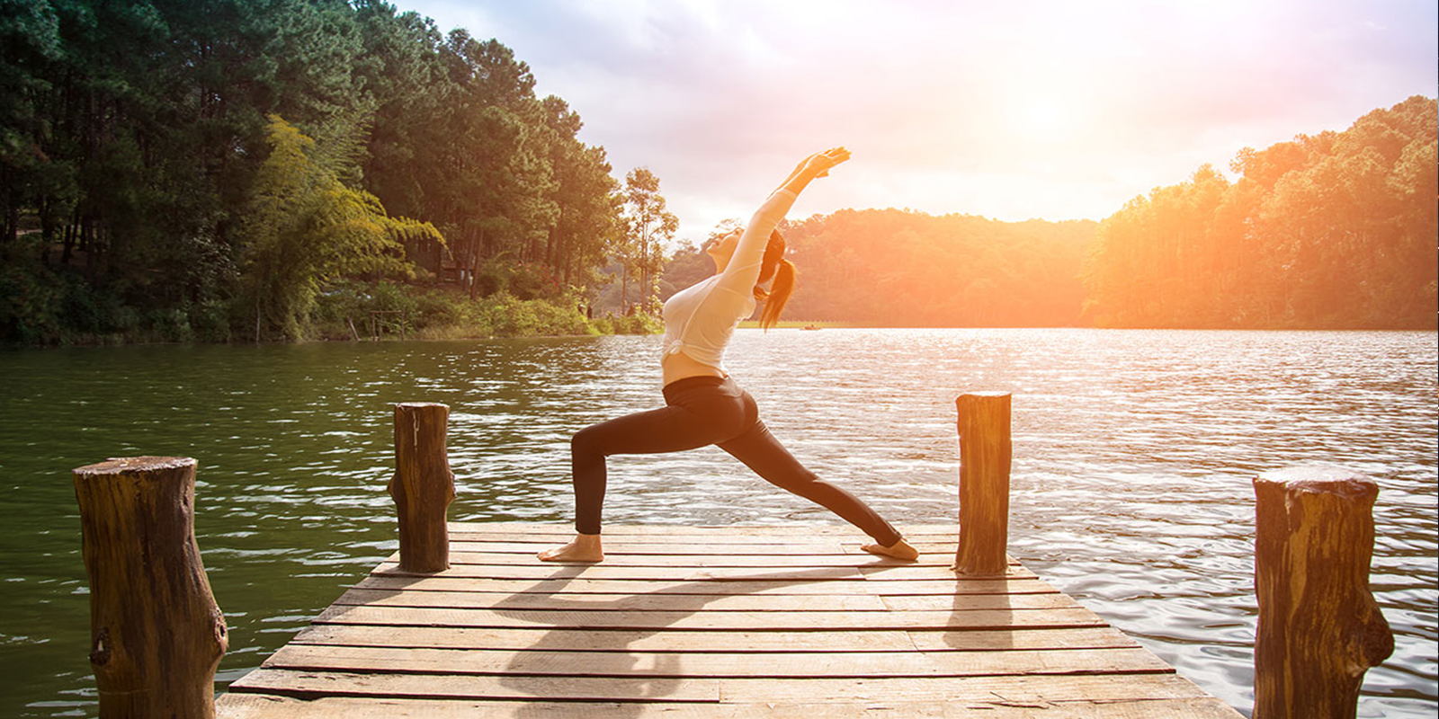 Creating Digital Ecosystems